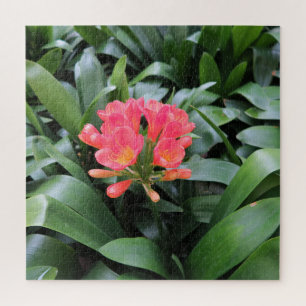 exotic, leaf, summer,puzzle, floral, tropical, jigsaw puzzle