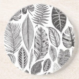 Exotic leaves, vintage floral black and white. coaster
