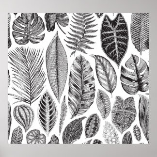 Exotic leaves, vintage floral black and white. poster