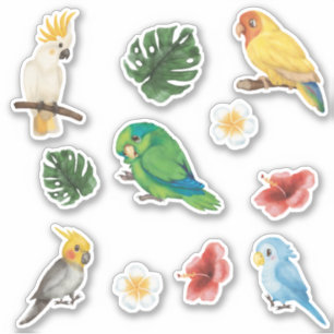 Exotic lovely Wild baby Parrots Tropical Sticker