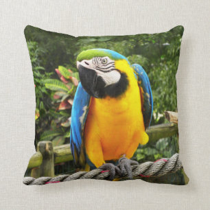Exotic Macaw Parrot Cushion