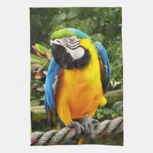 Exotic Macaw Parrot Tea Towel