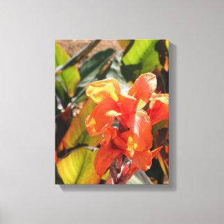 Exotic orange flower canvas print