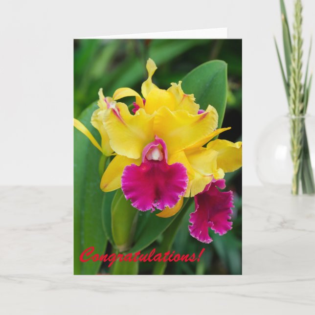 Exotic orchid in yellow and hot pink colours card (Front)