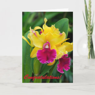 Exotic orchid in yellow and hot pink colours card