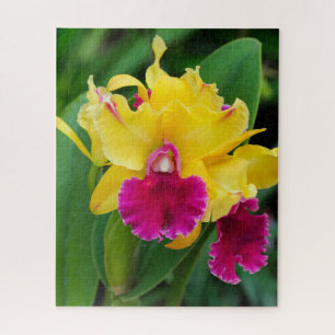 Exotic orchid in yellow and hot pink colours  jigsaw puzzle