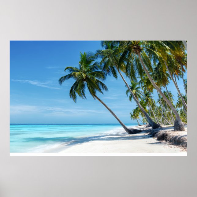 Exotic Palm Beach Turquoise Water Sunny Paradise Poster (Front)