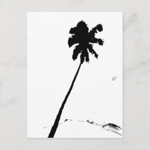 Exotic Palm Tree Postcard