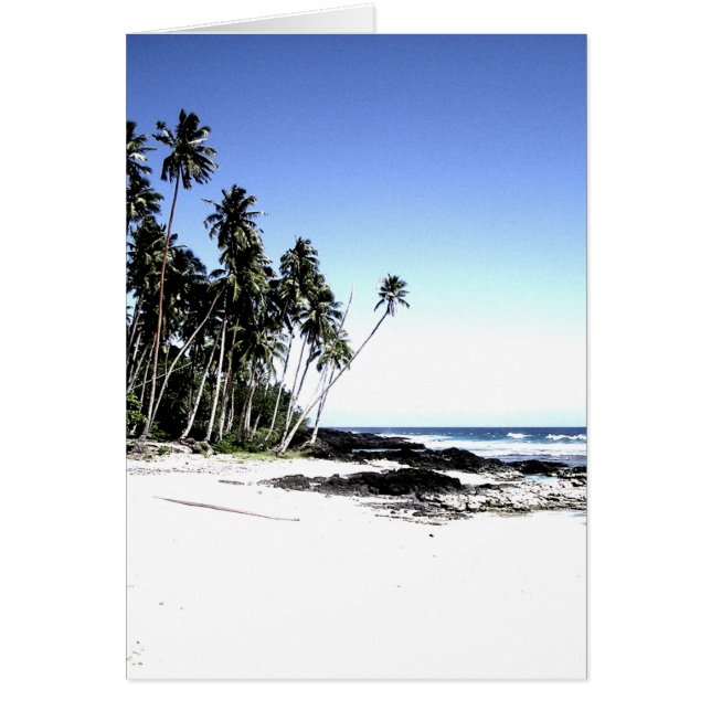 Exotic Palm Trees & Paradise Beach (Front)