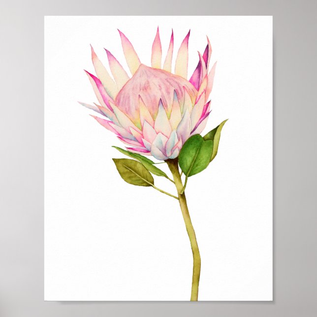 Exotic Pink Floral Watercolor Art Poster (Front)