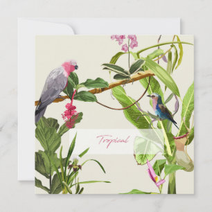 Exotic pink parrot tropical illustration card