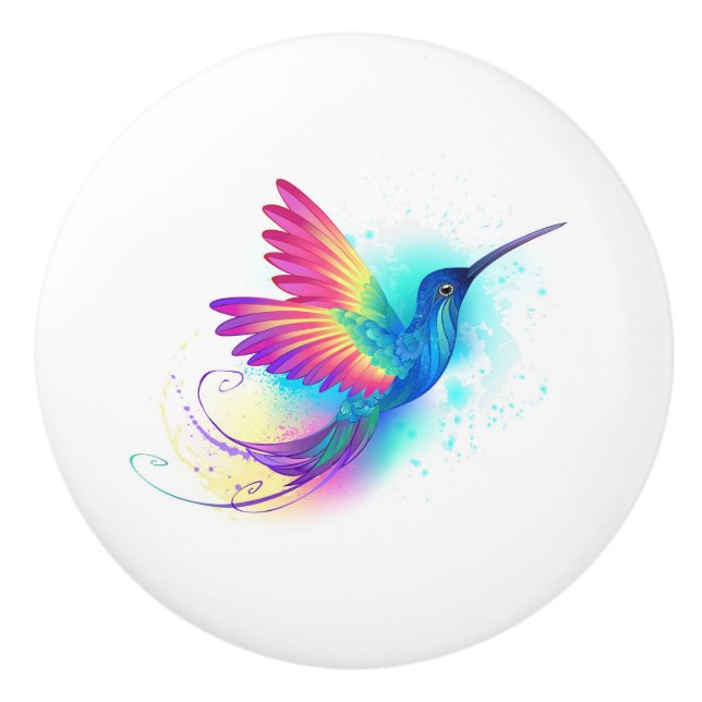 Exotic Rainbow Hummingbird Ceramic Knob (Front)