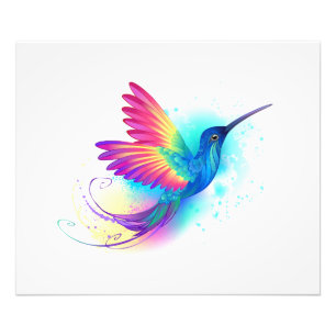 Exotic Rainbow Hummingbird Photo Print
