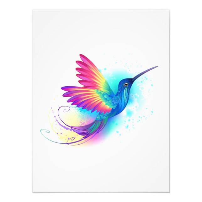 Exotic Rainbow Hummingbird Photo Print (Front)