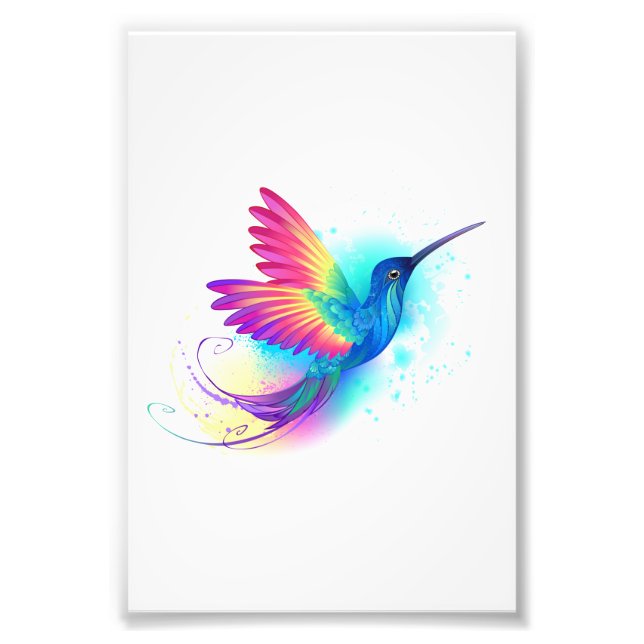 Exotic Rainbow Hummingbird Photo Print (Front)