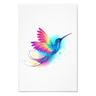 Exotic Rainbow Hummingbird Photo Print