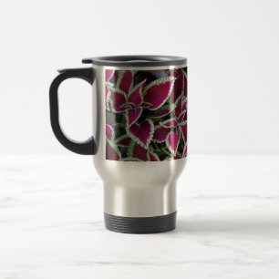 exotic red leaves with yellow edge plants. travel mug