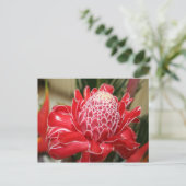 Exotic Red Torch Ginger flower Postcard (Standing Front)