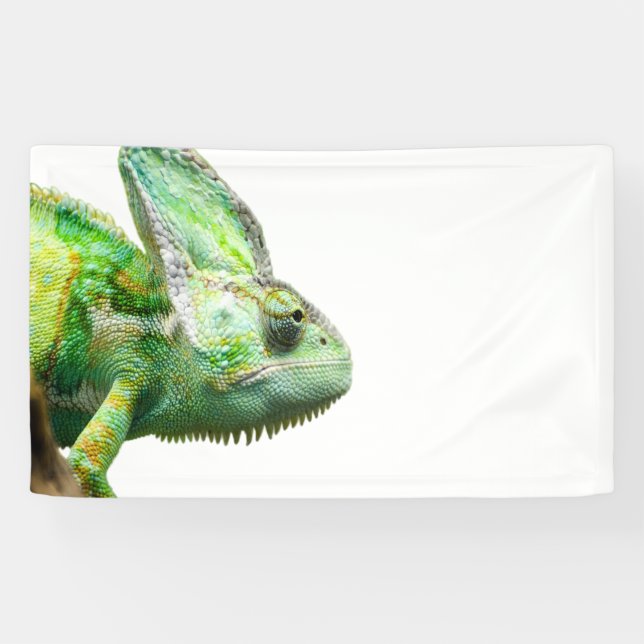 Exotic Reptile Banner (Horizontal)