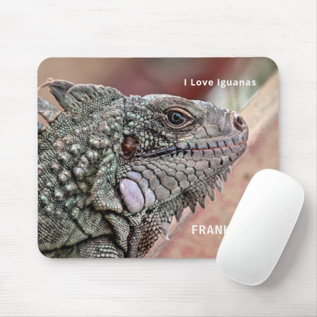 Exotic Reptile Mouse Mat (With Mouse)