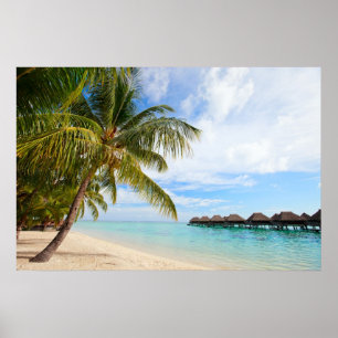 Exotic resort poster