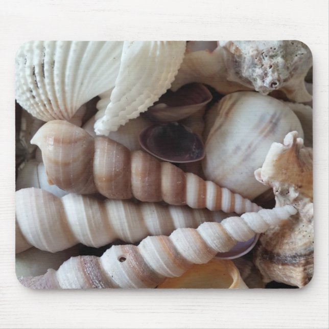 Exotic Sea Shells Collection, Summer Beach Life Mouse Mat (Front)