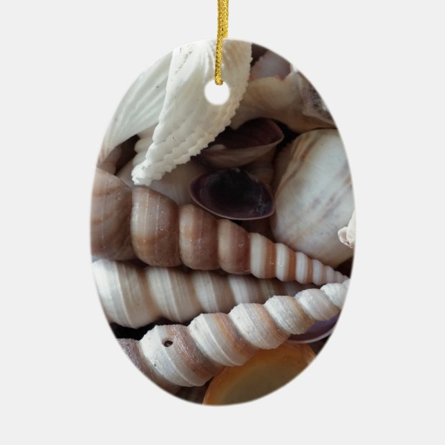 Exotic Seashells Collection, Summer Beach Ceramic Tree Decoration (Front)
