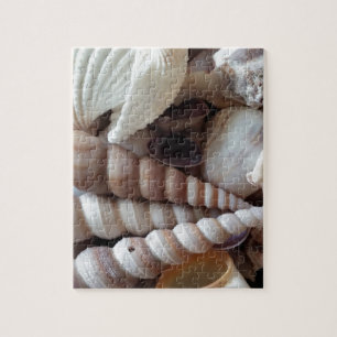 Exotic Seashells Collection, Summer Beach Jigsaw Puzzle