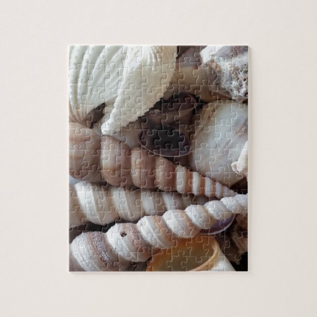 Exotic Seashells Collection, Summer Beach Jigsaw Puzzle (Vertical)
