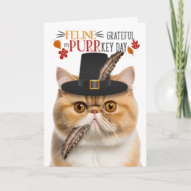 Exotic Shorthair Cat Grateful for PURRkey Day Holiday Card (Front)