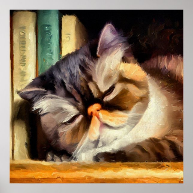 Exotic Shorthair Cat  Poster (Front)