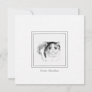 Exotic Shorthair Cat Sketch in Chalk & Charcoal Card