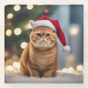 Exotic Shorthair Christmas Glass Coaster