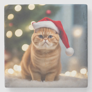 Exotic Shorthair Christmas Stone Coaster