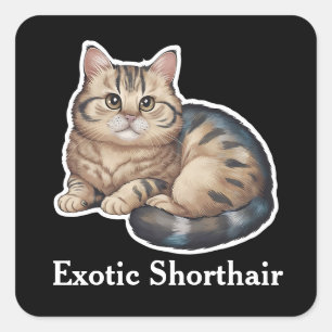 Exotic Shorthair Square Sticker