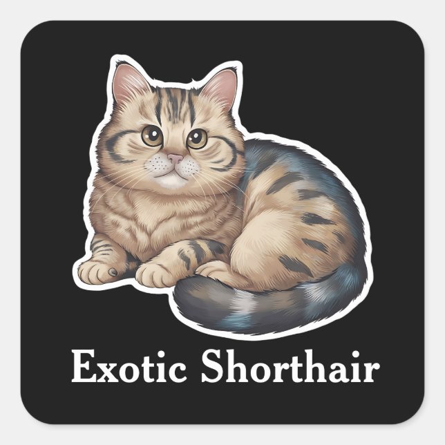 Exotic Shorthair Square Sticker (Front)