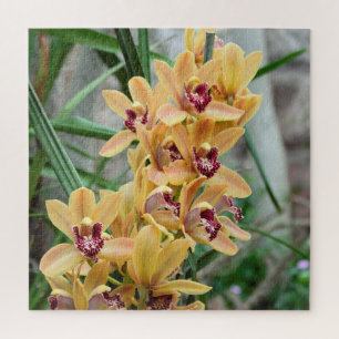 Exotic Star Orchids Jigsaw Puzzle