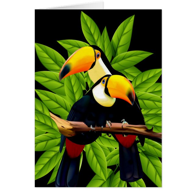 Exotic Toucans Note Cards (Front)