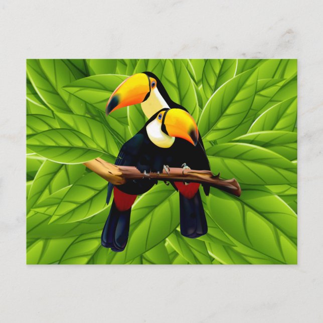 Exotic Toucans Postcard (Front)