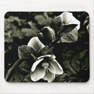 EXOTIC TREE FLOWERS IN BLACK AND WHITE MOUSE MAT