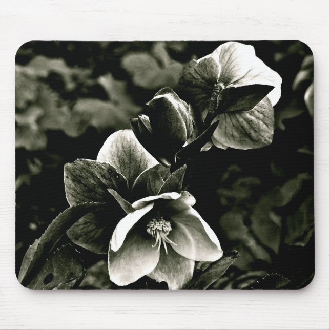 EXOTIC TREE FLOWERS IN BLACK AND WHITE MOUSE MAT (Front)