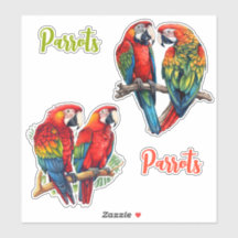 Exotic Tropical Colourful Cutomizable Parrots