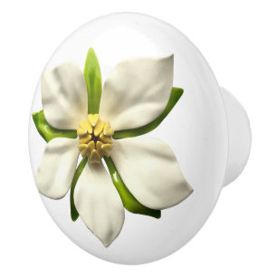 Exotic Tropical Magnolia Blossom Wedding Flower Ceramic Knob