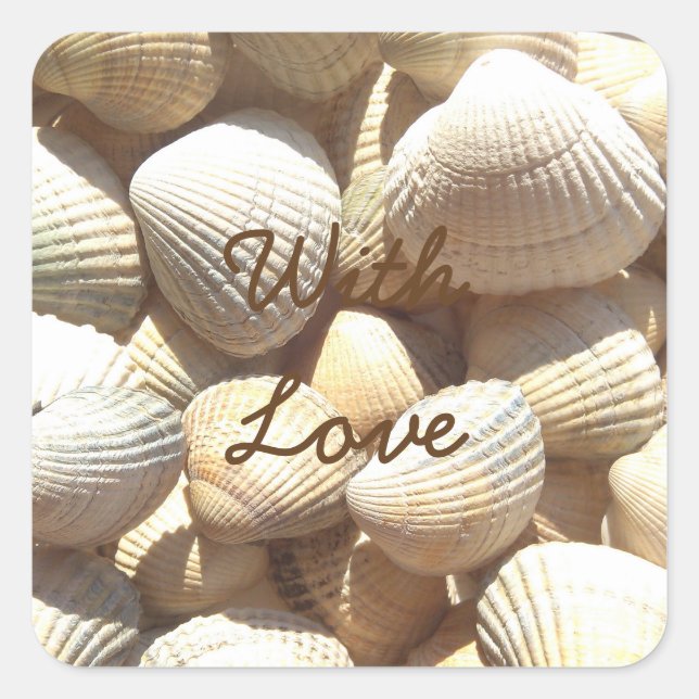 Exotic Tropical Sea Shell Summer Beach Photography Square Sticker (Front)