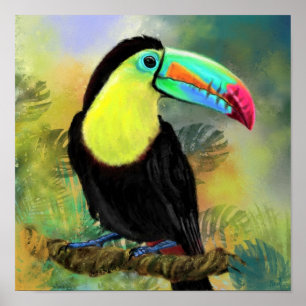 Exotic Tropical Toco Toucan Bird - Painting Migned Poster