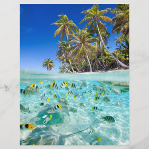 Exotic vacations flyer