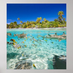 Exotic vacations poster