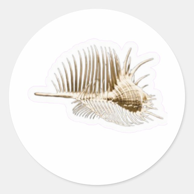 Exotic Venus Comb Murex Shell Sticker, Rare Spiny  Classic Round Sticker (Front)
