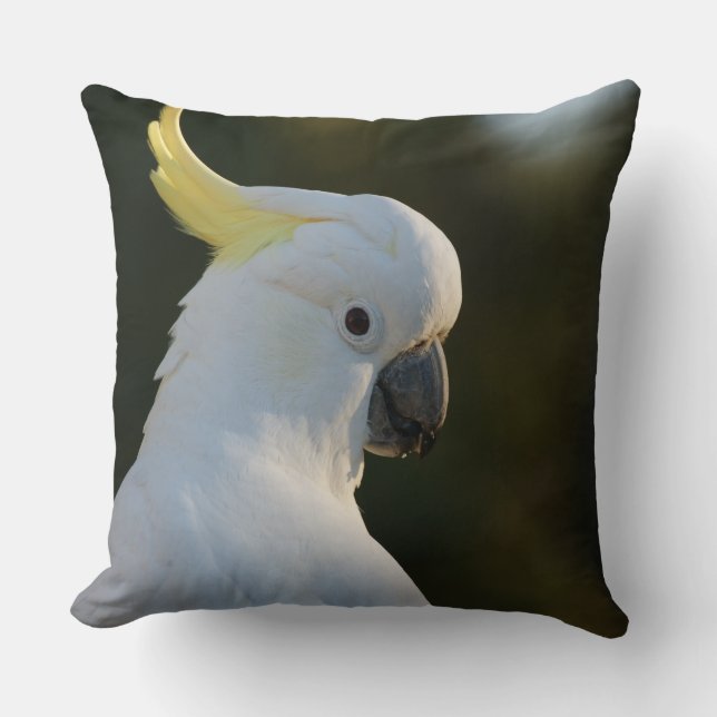 Exotic White Cockatoo Cushion (Front)