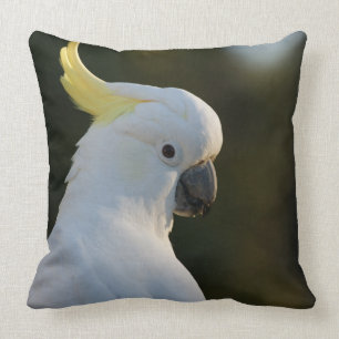 Exotic White Cockatoo Cushion